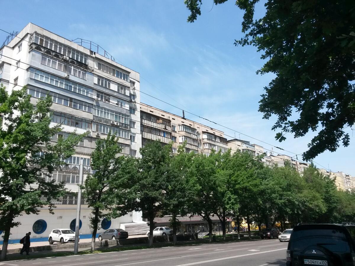 "Картина Горных Вершин" Квартира- "Mountain View" Apartment 阿拉木图 外观 照片